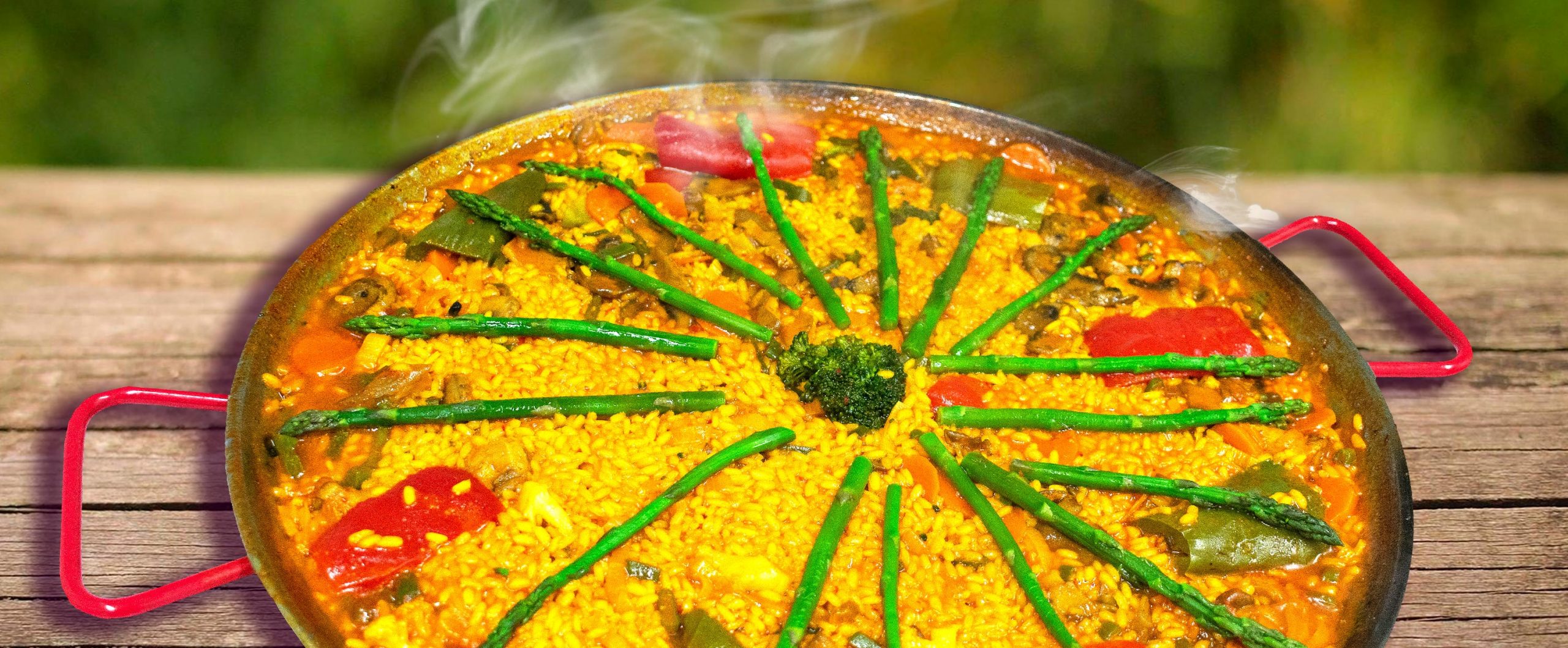 Banner-VEGETARIANA-1